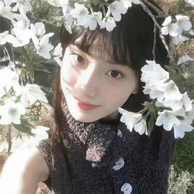 云上情歌